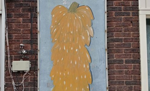 Hamacek Mike Construction