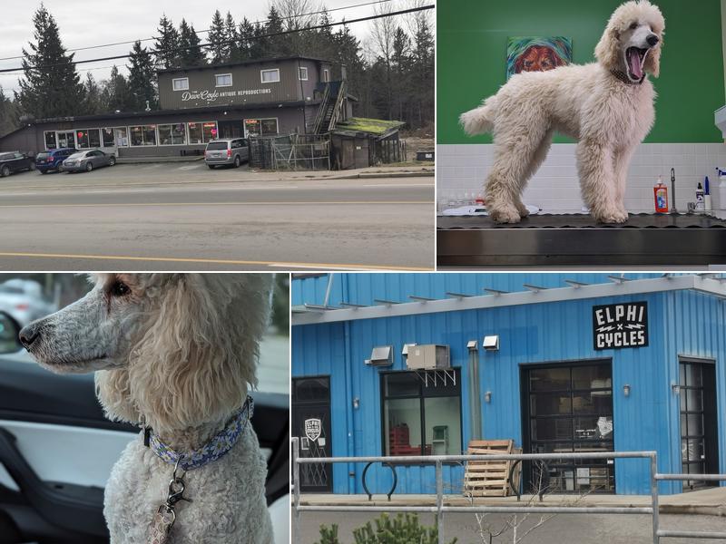 Gibsons Veterinary Hospital