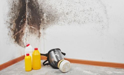 Drawin Mold Removal & Remediation Fairfield CA