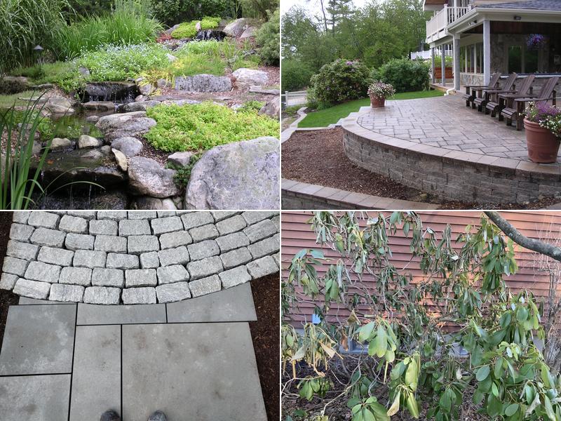 Shade Tree Landscaping