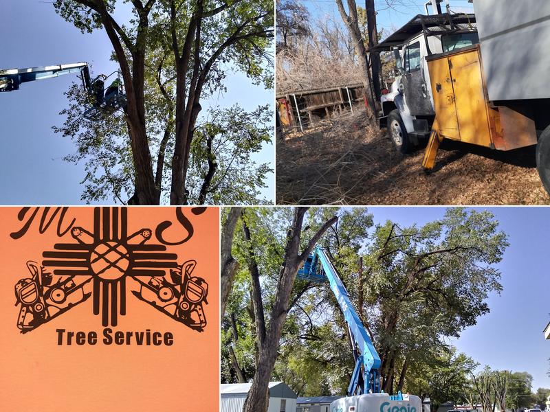 M&S Quality Tree Service LLC