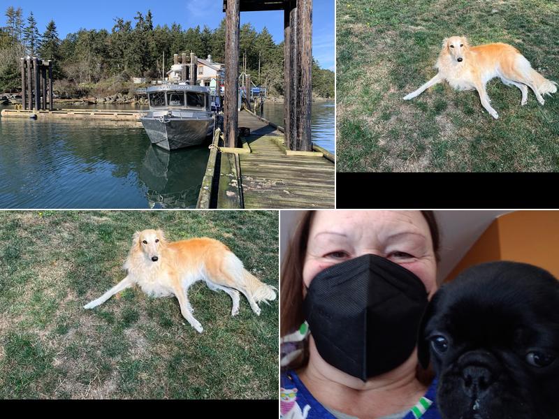 Pender Island Veterinary Clinic