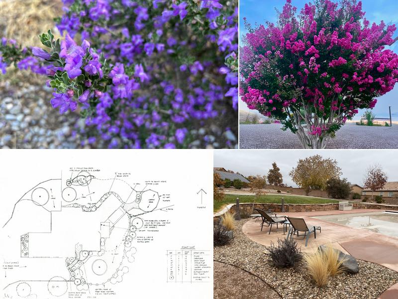 Steve Shelly Landscapes