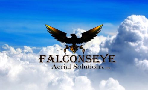 Falconseye Aerial Solutions, LLC 1331 Grassland Rd, Dayton Nevada 89403