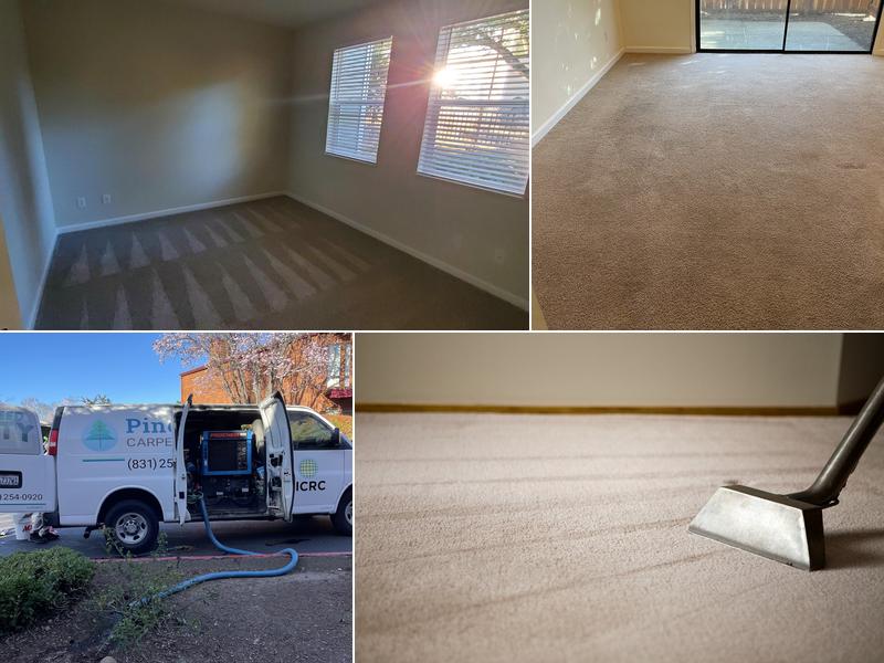 Pine Fresh Carpet Cleaning