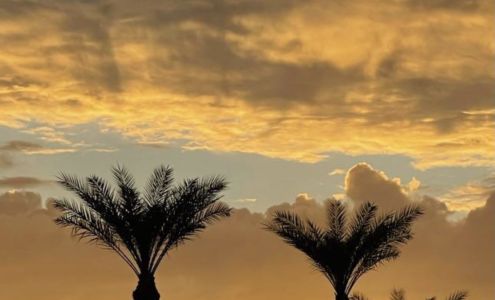 Marcie Ross - Realty One Group