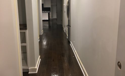 Madina's Green Clean