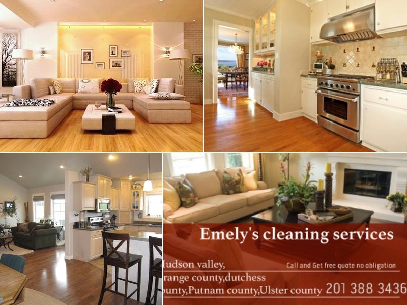 Emely's cleaning services