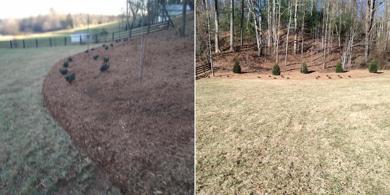 Danny Bradley Landscaping and Tree Nursery