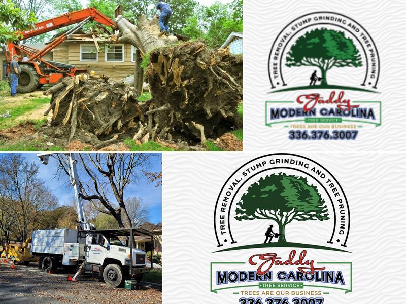 Gaddy Modern Carolina Tree Service, LLC