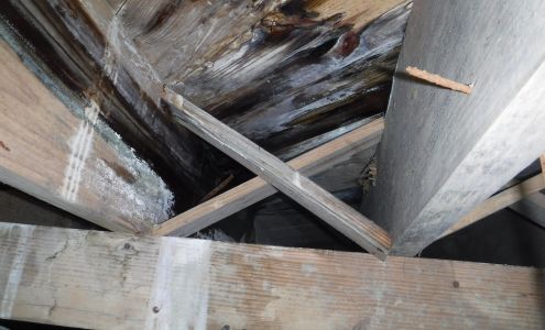 Dixon Inspections LLC 544 Julian R Allsbrook Hwy, Roanoke Rapids North Carolina 27870