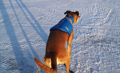 Kennebecasis Valley Animal Hospital 90 Hampton Rd, Rothesay New Brunswick E2E 2P5