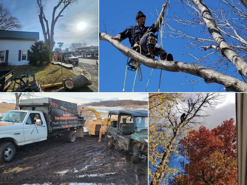 Hanson's Tree Climbing Contractors