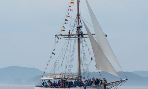 Jolly Breeze Whale Adventures Saint Andrews