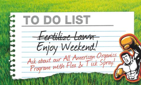 Graczyk Lawn & Landscape