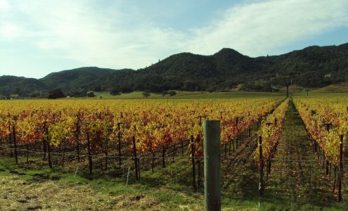 Sotheby's International Realty - Lynda Jensen