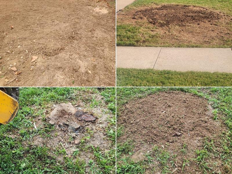 Williams Stump Grinding