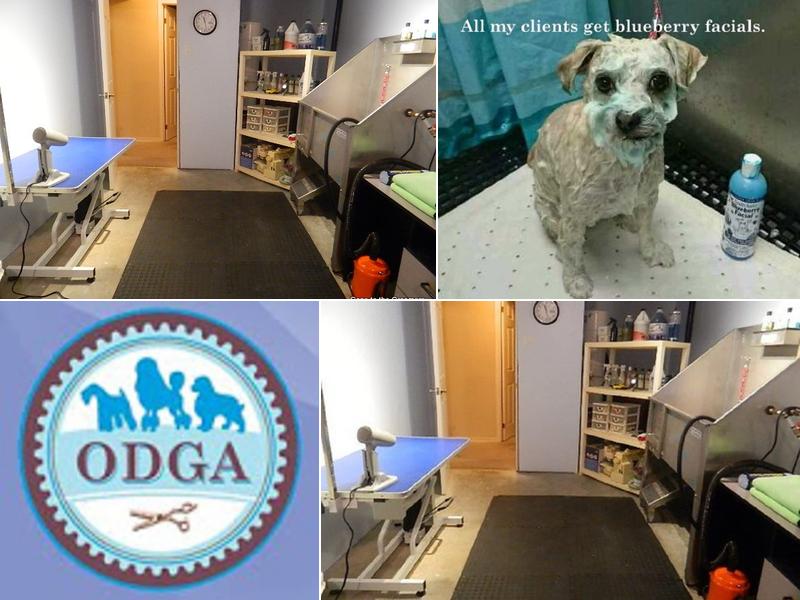 Gone to the Dog Groomers