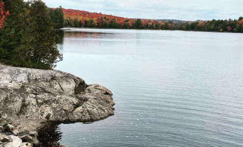 Harmer Wealth Management Corp. Haliburton