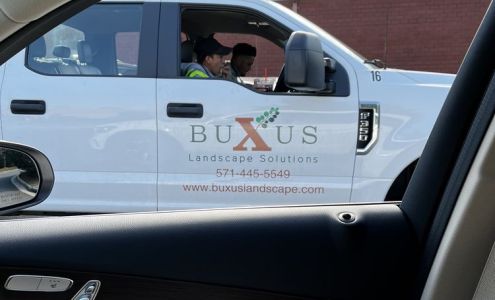 Buxus Landscape Solutions