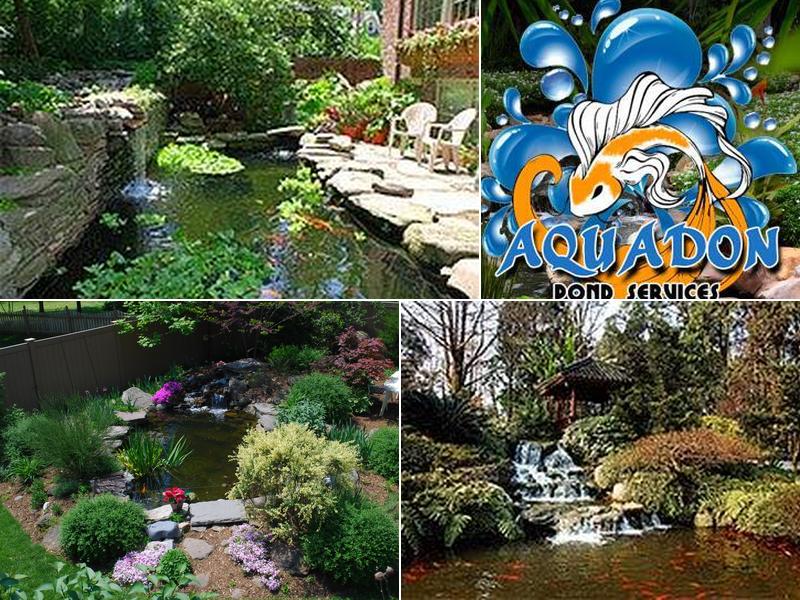Aquadon Pond Services