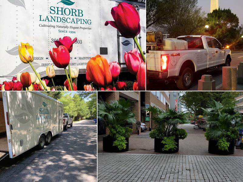 Shorb Landscaping, Inc.