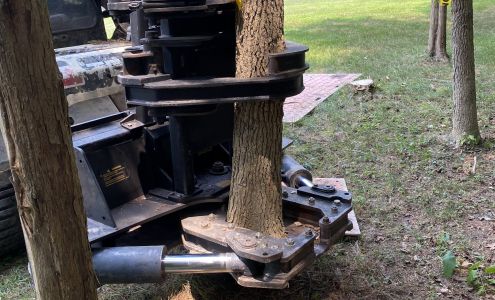 Affordable Tree Removal La Plata