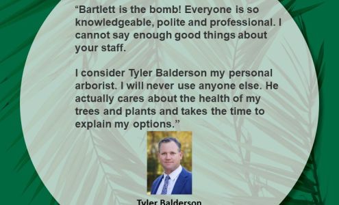 Bartlett Tree Experts