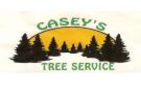 Casey's Tree Services 10502 Gillett Town Hall Rd, Gillett Wisconsin 54124