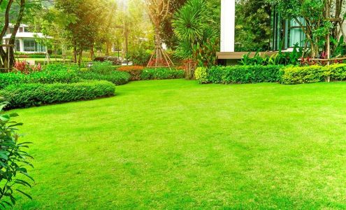 Turf Pro Lawncare & Snow Removal