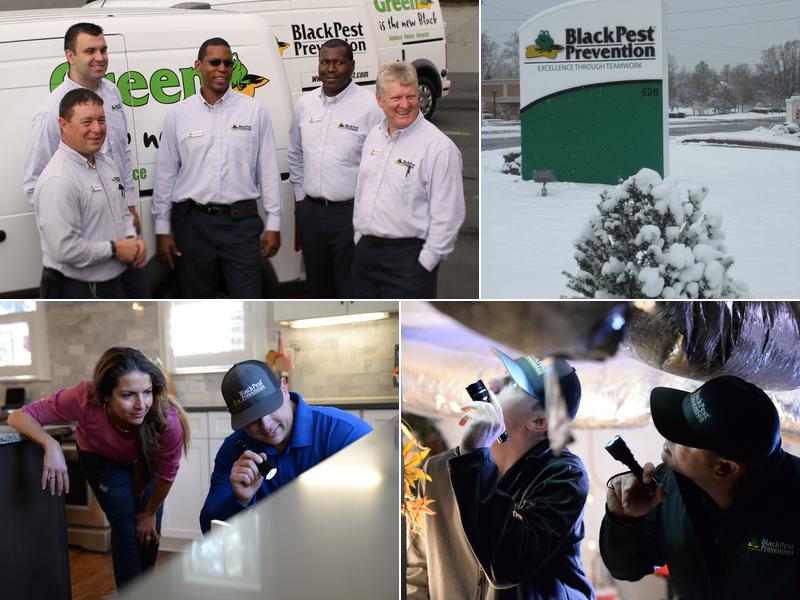 Black Pest Prevention, Inc.