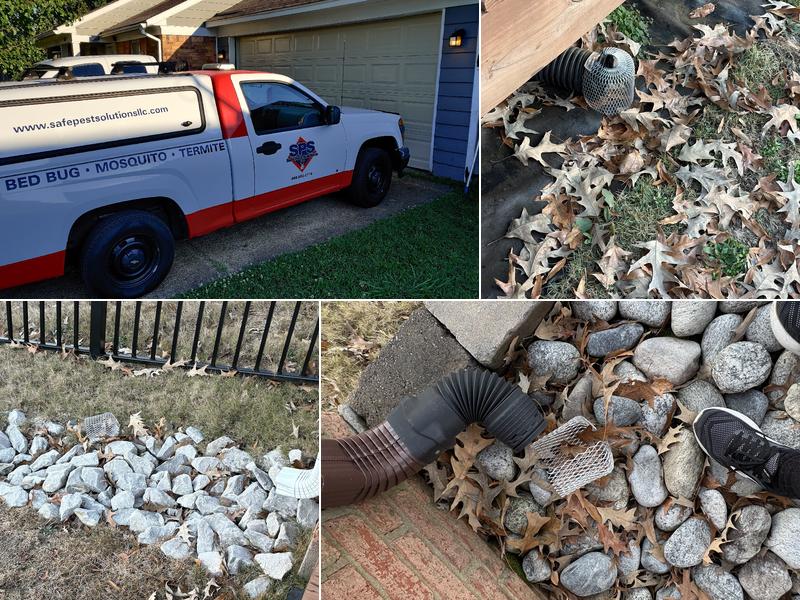 Safe Pest Solutions LLC