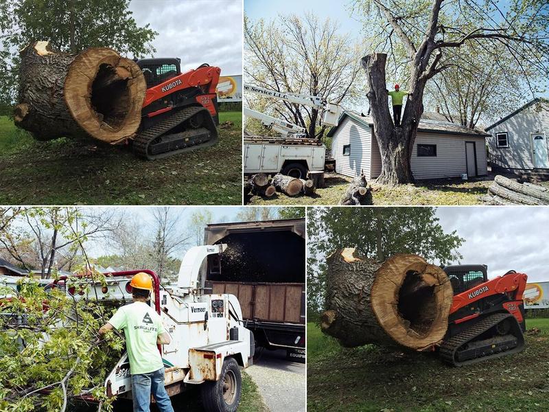 Shackleton Tree Service, L.L.C,.