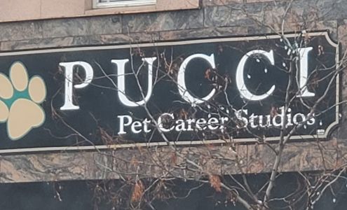 Svacina Seamless Siding