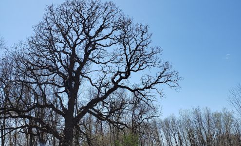 Quercus Land Stewardship Services 4681 Co Hwy JJ, Black Earth Wisconsin 53515