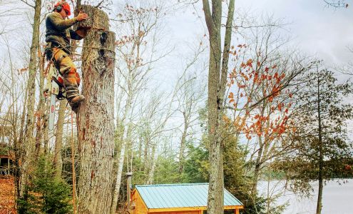 Gees tree removal service 1502 Pine Shores Rd, Goulais River Ontario P0S 1E0