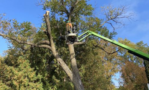 Aden Tree Care, LLC 10774 Mayflower Rd, Milladore Wisconsin 54454