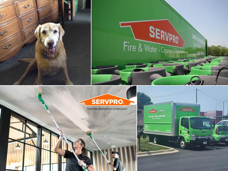 SERVPRO of Rockford