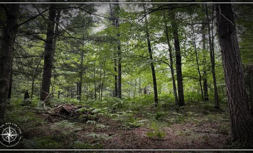 Ben The Man For Land Northern Wisconsin Real Estate Agent Tomahawk