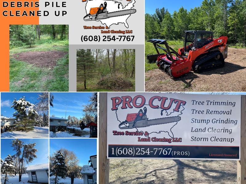 Pro Cut Tree Service & Land Clearing LLC