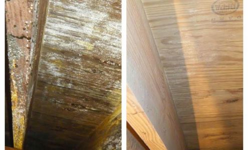 Water Damage Solutions LLC