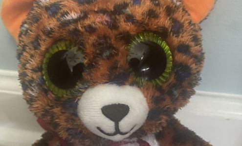 Walmart Garden Center