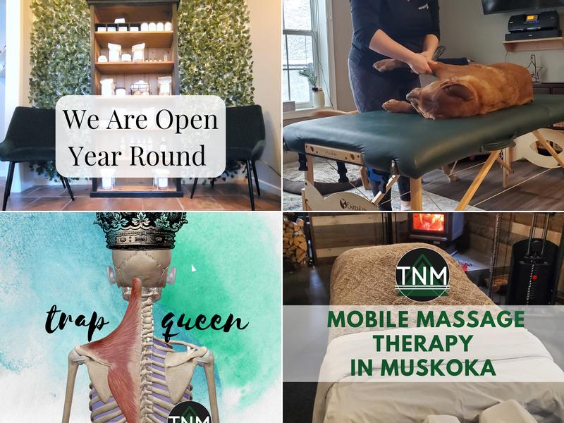 True North MVMNT Massage Therapy, Esthetics & Wellness