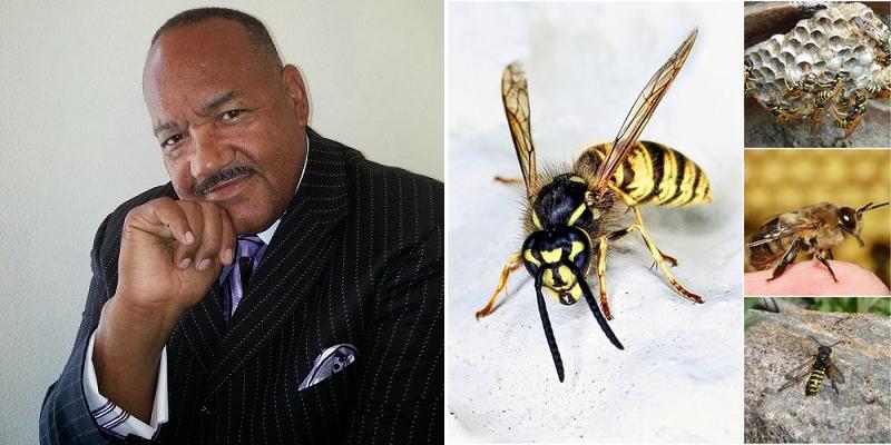 Exile Termite & Pest Control