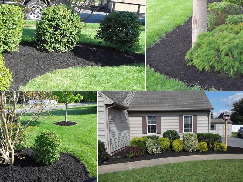 Unlimited Yard Solutions