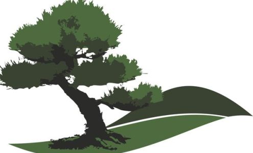 Foshee Property Maintenance Ocean View