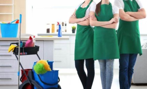 Two sisters cleaning New Ellenton