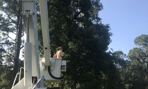 Coastal Tree and Land Clearing