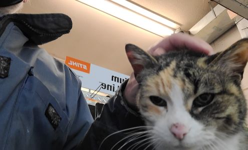 Beaverton Mower & Brock Automotive Beaverton