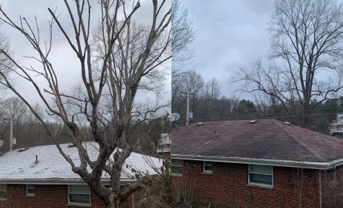 Wimer Tree Service LLC 6700 Quick Rd, Clendenin West Virginia 25045